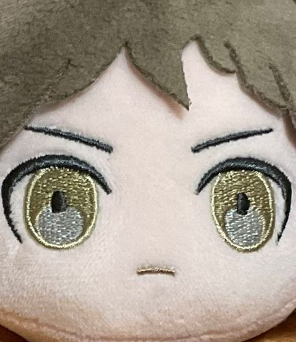 ぬい撮りにハマった者📸