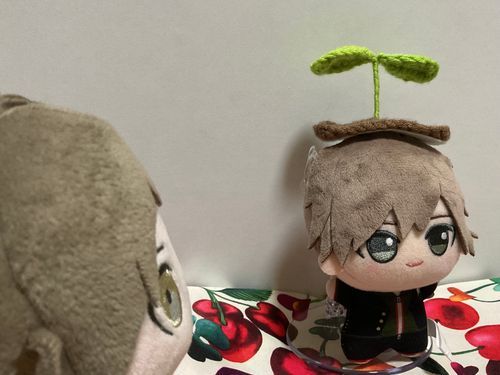僕の名前は新芽誠