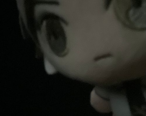 初めての外写真を撮ったんだ
心霊写真みたいになったぞ