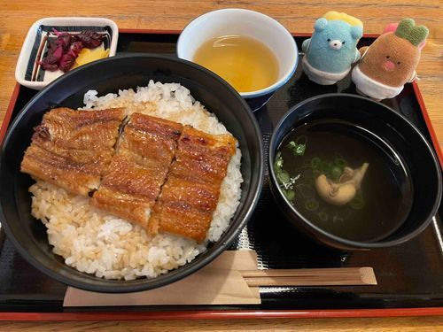 うなどんたべたよ
ぜいたく…！