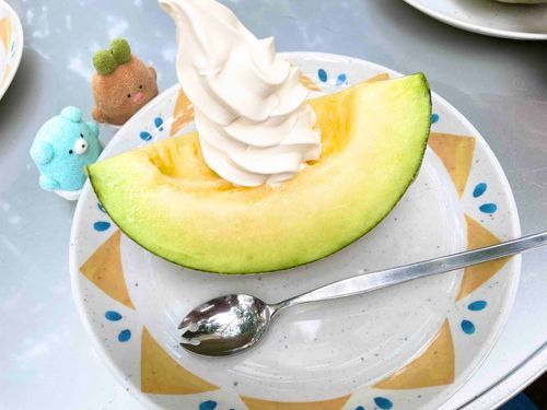 メロンにソフトクリームがのってるやつたべたよ
あまくておおきくてうまうま