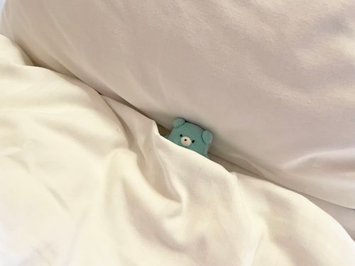 あるじサイズのおふとん
おおきいな