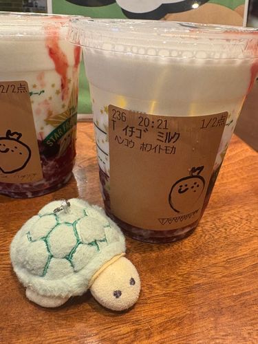 お友達のかめちゃんずのひとり。