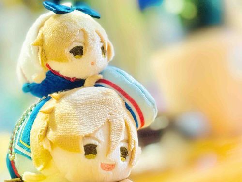 おおきなともやぬいがおうちにやってきました！
おれもおせなかにのせてもらいました✨✨