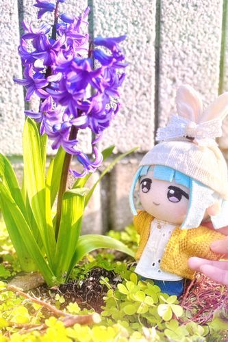 ぼくのおめめとおんなじ、むらさきいろのおはながさいていました♪