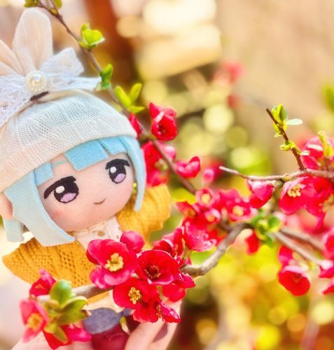 こっちはあかいおはなです🌸
このおはなもかわいいですね♪