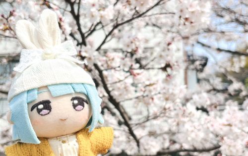 はるやすみにもちぬしさんとさくらをみにいってきたときのおしゃしんです♪🌸