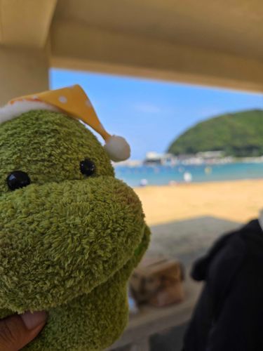恐竜のお人形わにちゃんです！今日は野原海水浴場に行ってきました✨