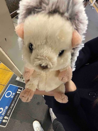 さつまいもと名付けよう