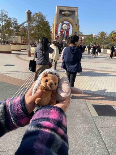 はりねずみのちょむ太郎とプテラノドンのぷーちゃん