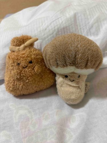 きんちゃんとたけちゃん