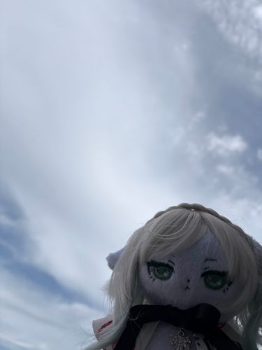 かしわ…おそと…