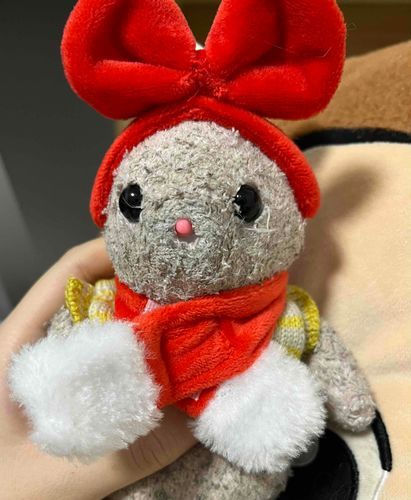 耳無くなってねずみさんみたい🐭