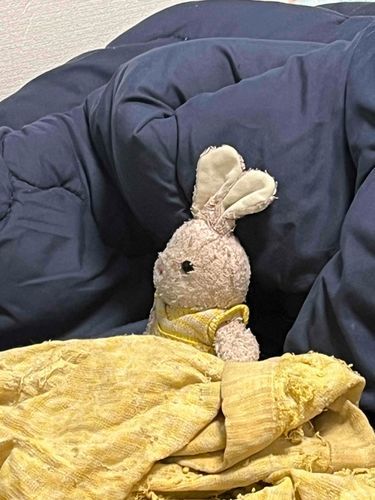 なにか、いる、