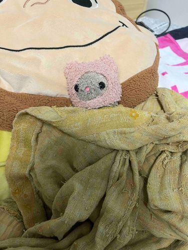 ままが生まれた時から大事にしてるタオルでいつも寝てるんだ〜🐰