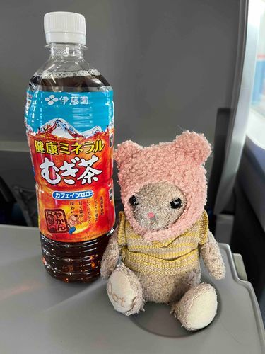 ととちゃんこれからままのライブに付き添い！新潟に行って来まーす！