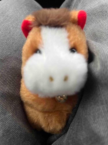 こんにちは。岩﨑大昇くんの頭の上にいる馬さんです。
足、挟まれております。