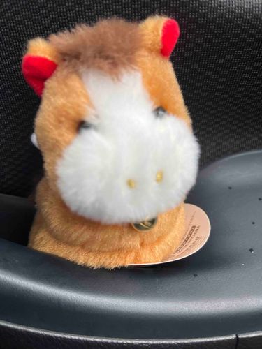 こんにちは。岩﨑大昇くんの頭の上にいる馬さんです。今日（こんにち）は持ち主のベースのストラップを買いに出かけています。