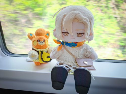 初めて特急列車に乗ったよ