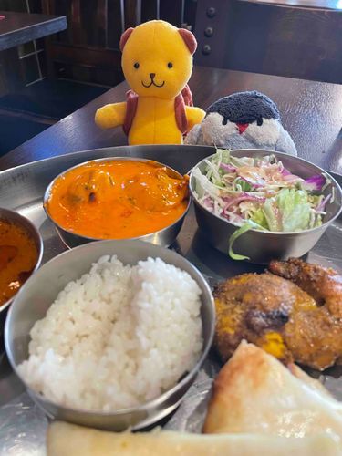 この日はいつも行ってるとこじゃないカレー屋さんに行きました。
ご主人はナンが美味しかったって言ってたよ。
付け合わせのヨーグルトは口に合わなかったみたい…
すいかちゃんは食いしん坊だから、食べたい食べたいって言ってたよ。
ぼくらが代わりに食べてあげられたらいいのになぁ…