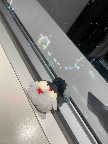 お仕事お疲れ様。
どんなに忙しくても、大変でも、辛くても、ぼくたちが着いてるからね。
安心してね。