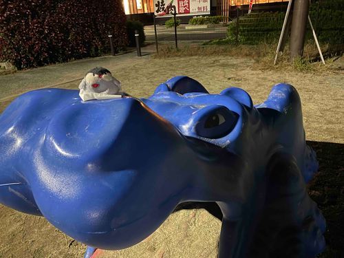 ご主人は巨像物が苦手なんだ。
公園にいたこのカバの遊具のことも怖いって言ってた。
すいかちゃんはお構いなし、ぴょんぴよんと乗ってドヤッとしてたよ笑
怖いもの知らず！