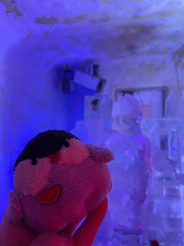 −30°の世界に行ってきたんだって…
写真で見るだけでも、すごい寒そうなのが伝わってくる！🥶