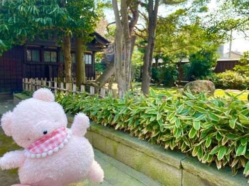 大きなお庭！