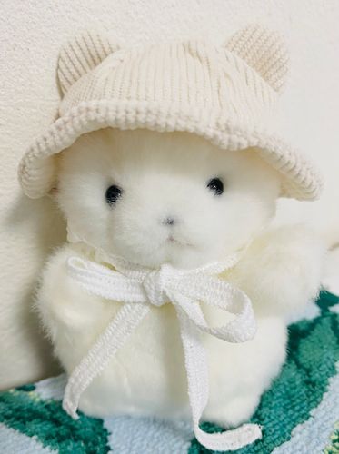 ぼうし、ぴったり！
今度のお出かけにかぶっていこうね。