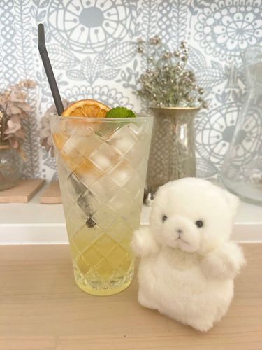 とってもおしゃれでおいしいオレンジソーダ！なんとシロップもドライオレンジも全部お母さんの手作り！🍹
久しぶりの実家、たのしいな。