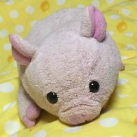 ぶーたん