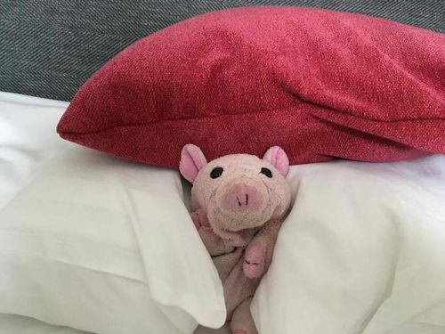 はじめまして
ぶーたんです