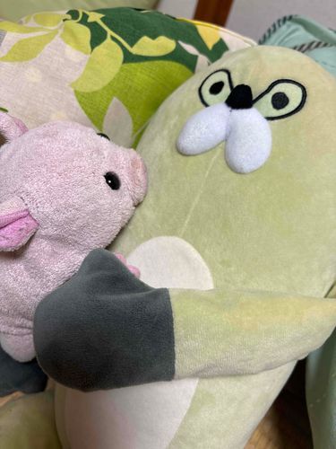 ムジーナとお昼寝してたよ