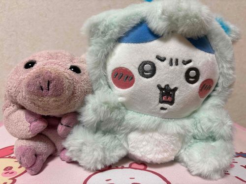同居人が増えたよ