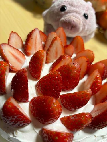 メリークリスマス！
主にケーキ作ってもらったんだ