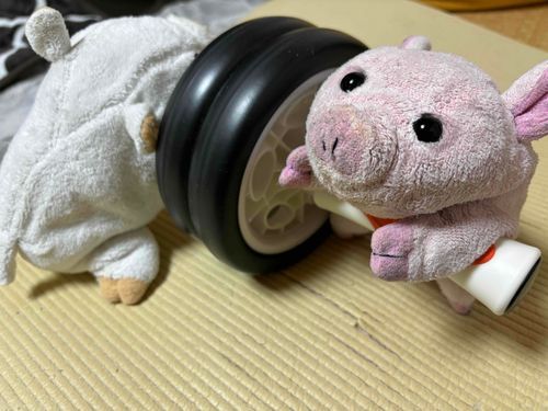 お正月は食べすぎたから運動するよ！

…なんか使い方おかしくなぁい？