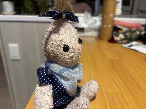 新しい服を新調したりんよ