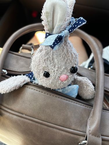 今から診療内科に行くりんよ...
りんの主がんばるりんよ🐰..