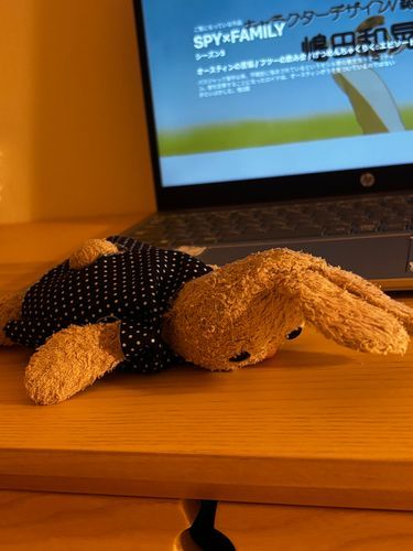 ちょっと落ち込んでるりんよ、、