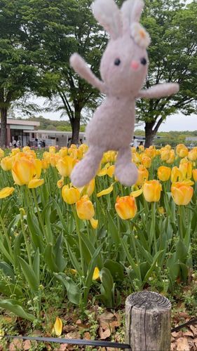 うひょひょひょひょひょ🐰