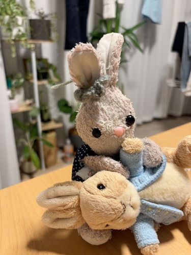 ピーターラビットちゃんとけんかしちゃだめー！！
