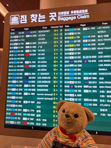 ごがつくらいに、かんこくにいったよ。くうちゃんはさんかいめのかんこくだけど、ぜんぜんなにがおきてるか、わからないよ！