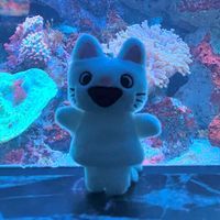のんたん！