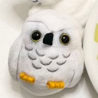ぷくちゃん