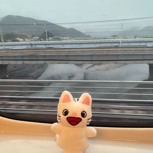 移動〜！
