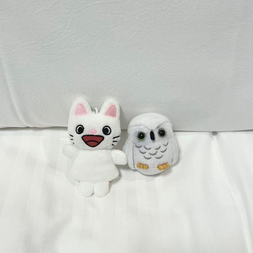 お人間さんが今日から出張で緊張しているみたい〜！
のんたんと、ぷくちゃんも着いてきたよ！
