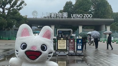 上野動物園に行ってきたよ！