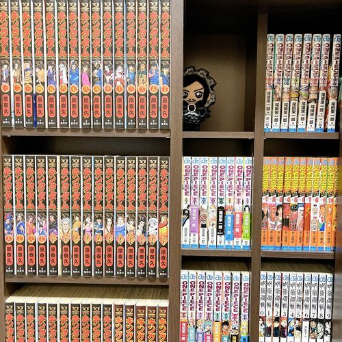 この家には漫画がたくさんありますね
家主が寝た後にここでこっそりキングダムを楽しんでおります