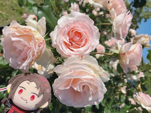 きょう すずしー ね
