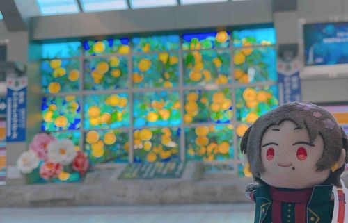 みかん いっぱい ね